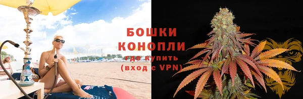 индика Белокуриха