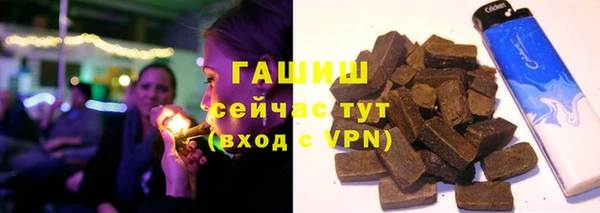 индика Белокуриха