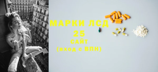 индика Белокуриха