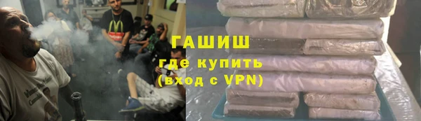 индика Белокуриха