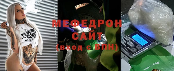 индика Белокуриха