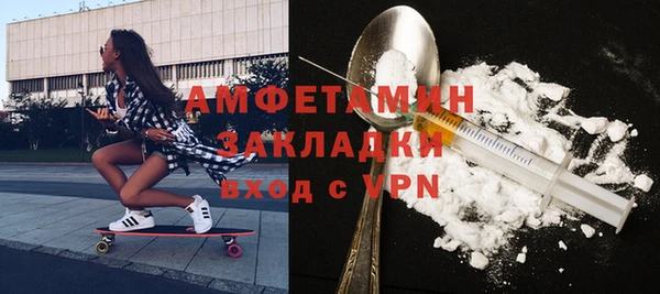 индика Белокуриха
