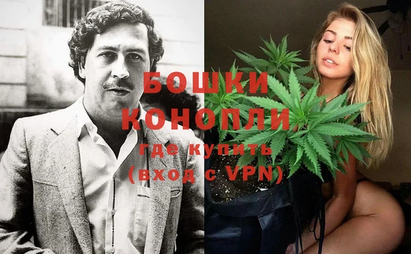 индика Белокуриха